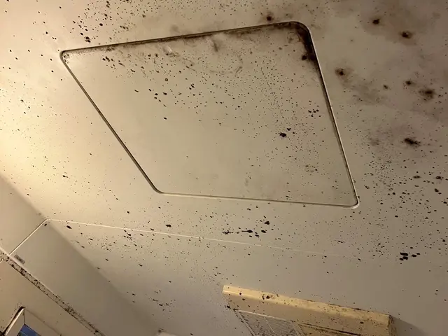 お客様のお力になります！経験と知識を活かして迅速丁寧に作業いたしますサービスの画像