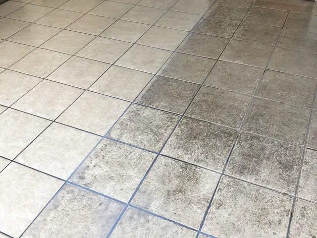 【経験27年の実績】ペット赤ちゃん◎　思わず笑顔になりますサービスの画像