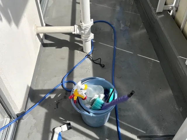 【経験27年の実績】ペット赤ちゃん◎　思わず笑顔になりますサービスの画像