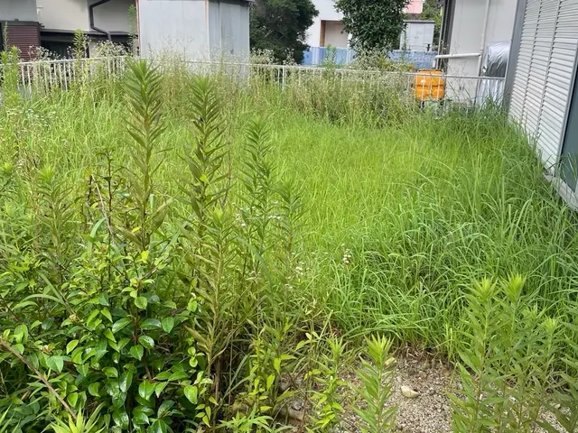【駐車場不要／電動静音】草刈り｜見積後追加なしサービスの画像