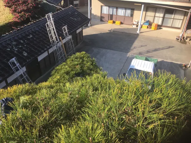 【業界歴26年】外注一切無し！心を込めて庭木のお手入れを致します。サービスの画像