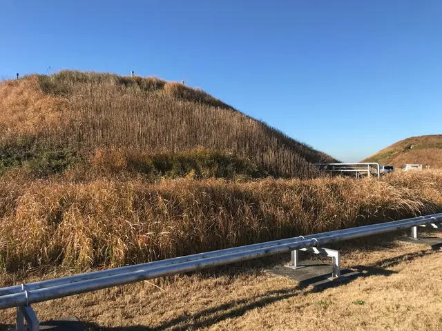 伐採・抜根・草刈り/外仕事専門会社◎現地調査対応しております/インボイス対応店サービスの画像