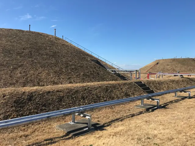 伐採・抜根・草刈り/外仕事専門会社◎現地調査対応しております/インボイス対応店サービスの画像