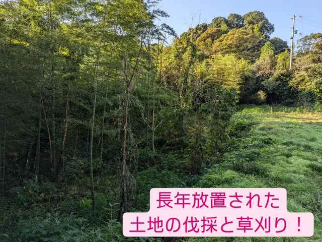 小さなものから大径木までなんでもお任せください！お墓周り、アパート、空き地などもサービスの画像