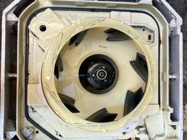 【10月末迄のご予約で消臭コート無料】11月12月の作業のご予約も今がチャンスサービスの画像