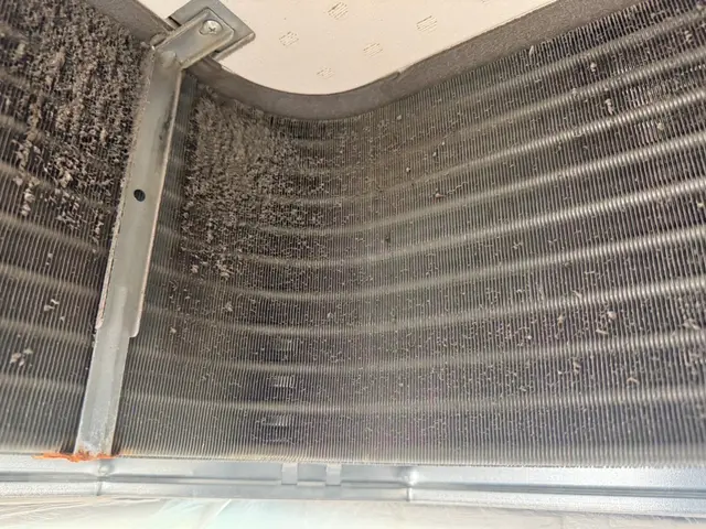 【10月末迄のご予約で消臭コート無料】11月12月の作業のご予約も今がチャンスサービスの画像