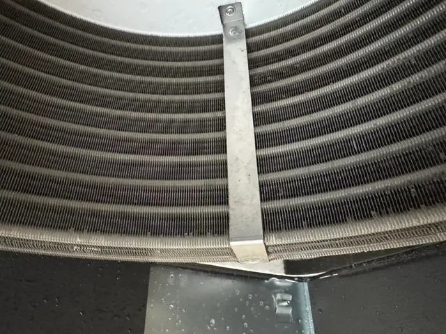 【10月末迄のご予約で消臭コート無料】11月12月の作業のご予約も今がチャンスサービスの画像