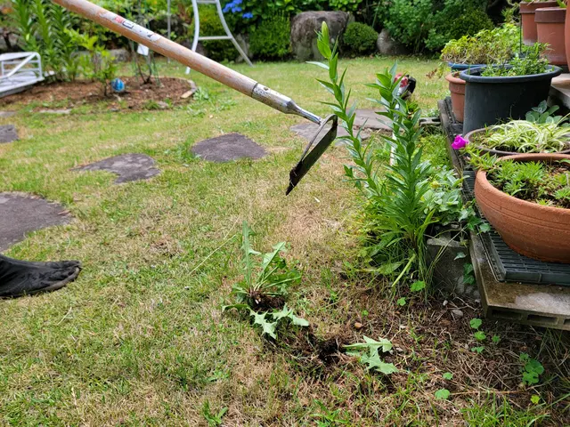 これで手入れも楽チン!防草シート張り!【お気軽にお問い合わせください】サービスの画像