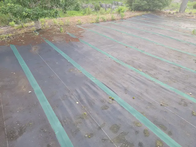 これで手入れも楽チン!防草シート張り!【お気軽にお問い合わせください】サービスの画像