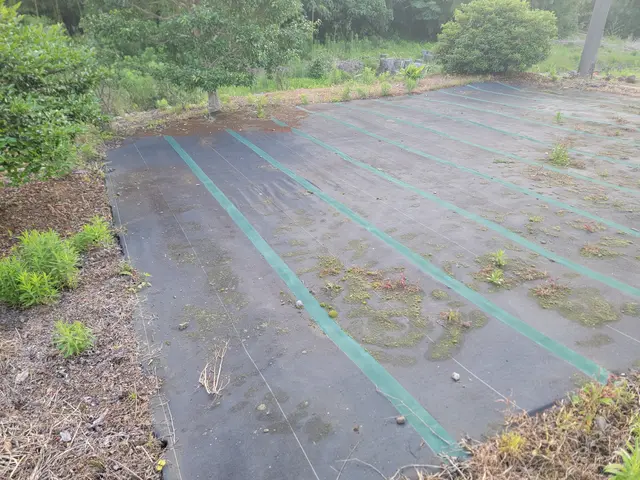 これで手入れも楽チン!防草シート張り!【お気軽にお問い合わせください】サービスの画像