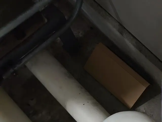 【即日対応可能】人にもペットにも優しく解決いたします！まずはご相談ください！サービスの画像