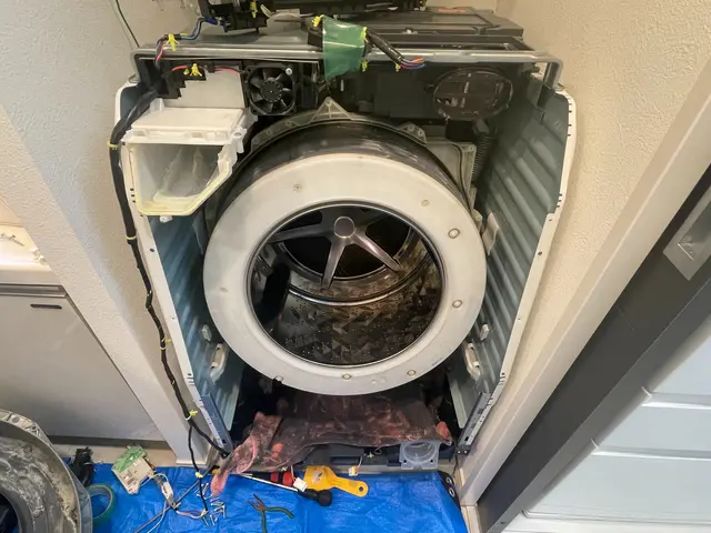 ★5/28〜パナソニックドラム、ヒートポンプまで分解洗浄キャンペーン！ドラム式洗サービスの画像