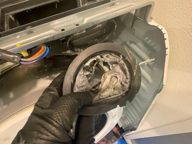 ★5/28〜パナソニックドラム、ヒートポンプまで分解洗浄キャンペーン！ドラム式洗サービスの画像