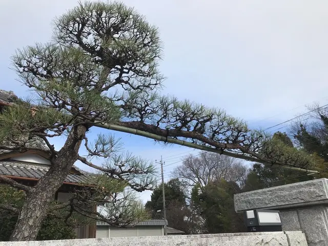 【1級技能士】経験や知識を活かし、お客様のご要望にお応えします！女性スタッフ同行サービスの画像