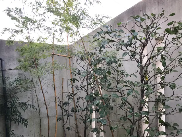 【1級技能士】経験や知識を活かし、お客様のご要望にお応えします！女性スタッフ同行サービスの画像