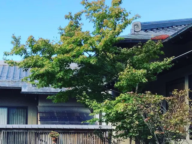 【1級技能士】経験や知識を活かし、お客様のご要望にお応えします！女性スタッフ同行サービスの画像