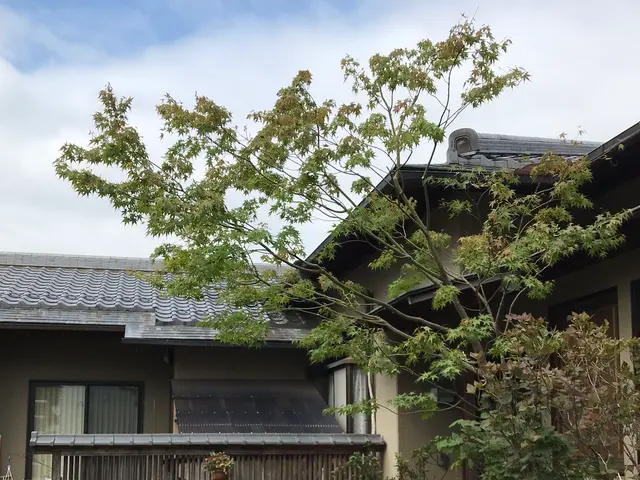 【1級技能士】経験や知識を活かし、お客様のご要望にお応えします！女性スタッフ同行サービスの画像