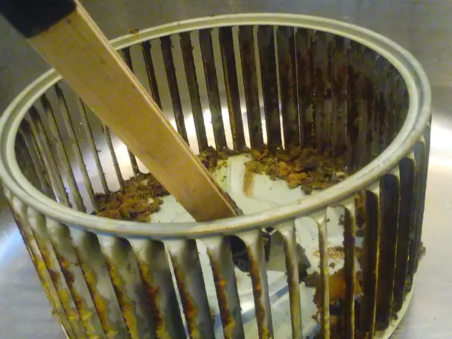 平日限定！安心価格！《追加料金ナシ》非喫煙者／お子様安心／ペットもOK！サービスの画像