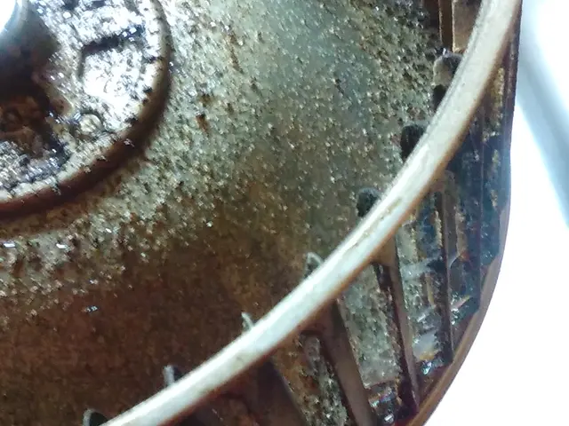 平日限定！安心価格！《追加料金ナシ》非喫煙者／お子様安心／ペットもOK！サービスの画像