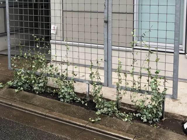 ☆業界歴23年☆外注作業一切なし！大手での経験も豊富です！事前見積もりで安心！サービスの画像