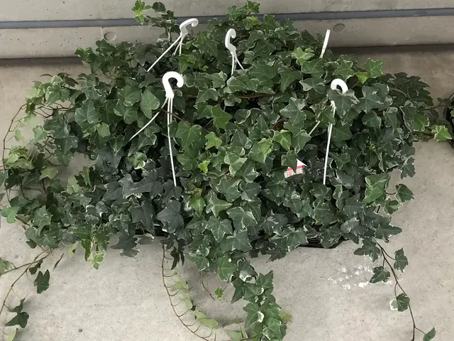 ☆業界歴23年☆外注作業一切なし！大手での経験も豊富です！事前見積もりで安心！サービスの画像