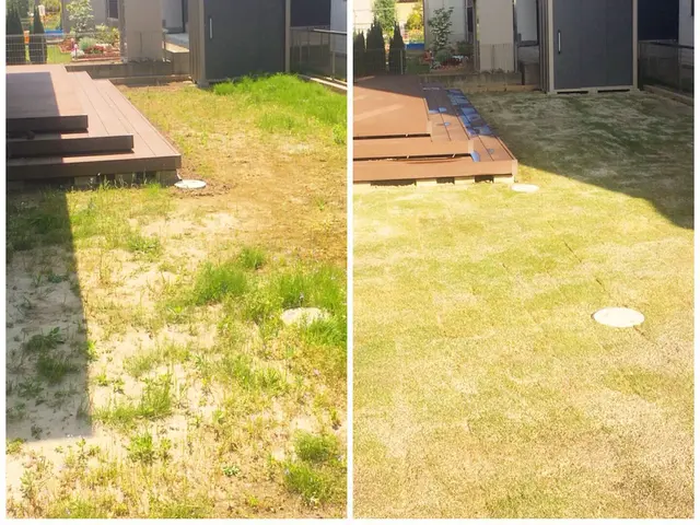 寝転びたくなる様なお庭へ　実績20年以上丁寧な施工! TM9 人工芝も承ります◎サービスの画像