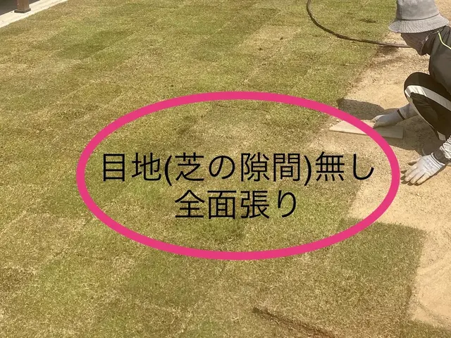 寝転びたくなる様なお庭へ　実績20年以上丁寧な施工! TM9 人工芝も承ります◎サービスの画像