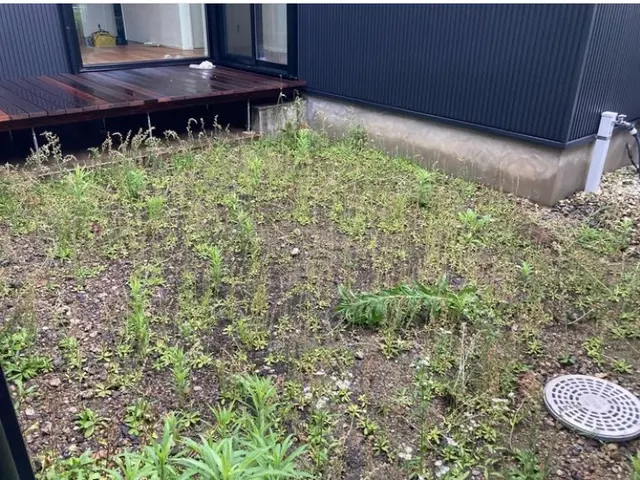 寝転びたくなる様なお庭へ　実績20年以上丁寧な施工! TM9 人工芝も承ります◎サービスの画像