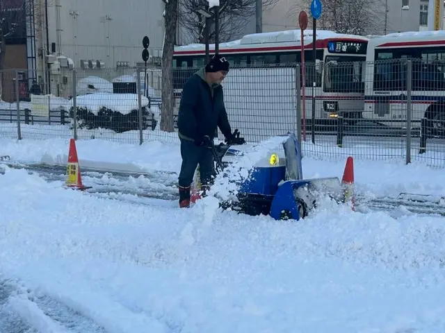 敷地の除雪、排雪を人力、除雪機でご対応します。屋根の雪おろしも対応致します！サービスの画像