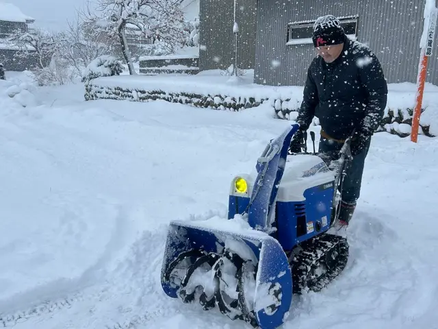 敷地の除雪、排雪を人力、除雪機でご対応します。屋根の雪おろしも対応致します！サービスの画像