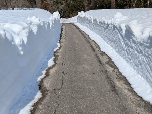 プロの技術でご満足いただけるように心を込めて作業いたしますサービスの画像