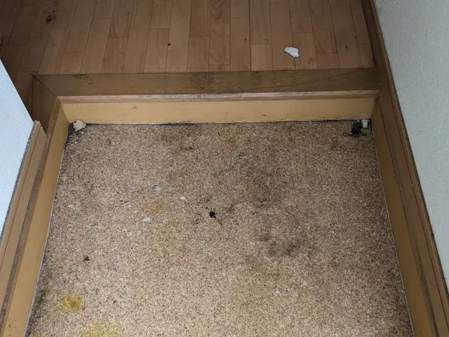 賃貸物件施工可能◎お洒落は床から◎理想空間に！重ね張りもお問い合わせ下さい！サービスの画像