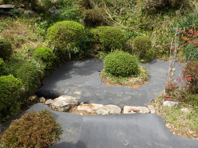 作業外注一切なし！作業にご不満の場合は無料にて追加対応いたします◎サービスの画像