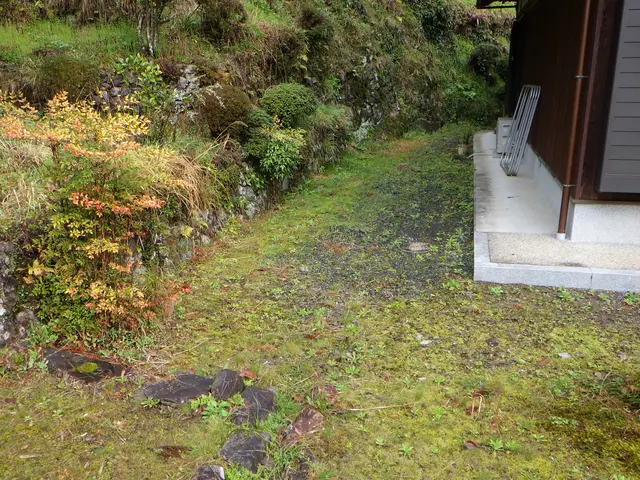 作業外注一切なし！作業にご不満の場合は無料にて追加対応いたします◎サービスの画像