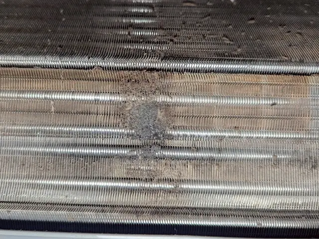 残暑の為年末迄8500円延長!!快適抗菌コートサービス!早目に!QRカードOK!サービスの画像