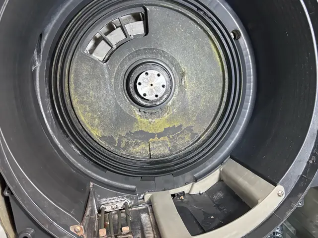 主に【パナソニック】【日立】ドラム式洗濯機専門分解清掃サービスの画像