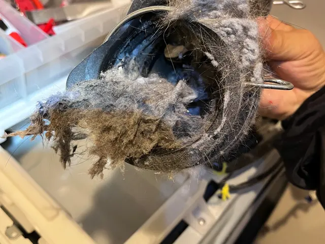 主に【パナソニック】【日立】ドラム式洗濯機専門分解清掃サービスの画像