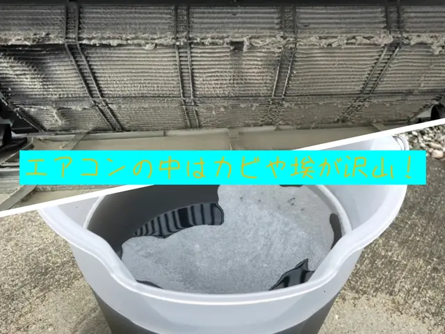 ＼お得にエアコンを洗いましょう！／12,000→11,000円！ 消臭抗菌無料サービスの画像