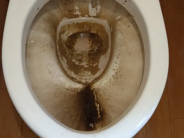 《創業32年》固い尿石も綺麗に！サービスの画像