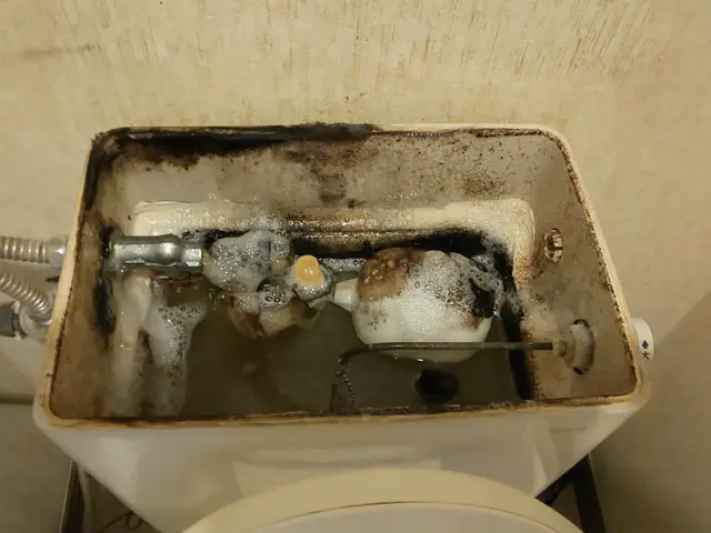 《創業32年》固い尿石も綺麗に！サービスの画像