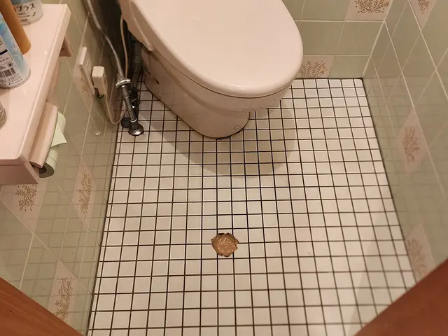 ◆春日井発◆営業時間外も対応いたしますサービスの画像