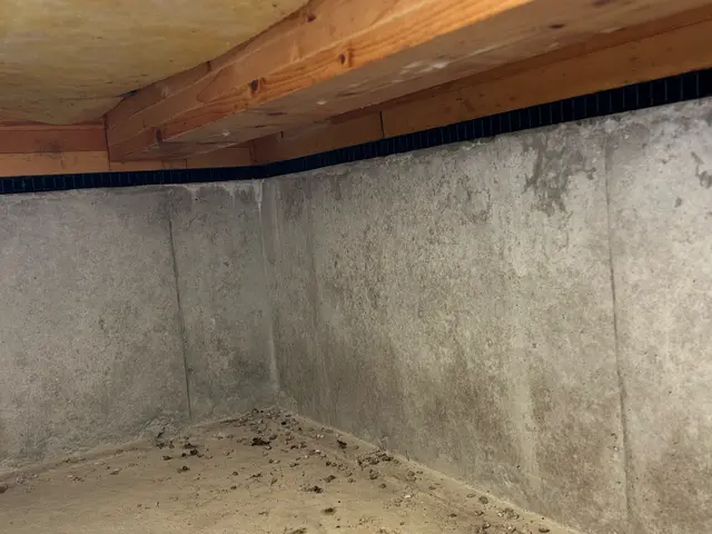 元大手経験者が駆け付ける！女性スタッフ同行対応の害虫解決サービスサービスの画像