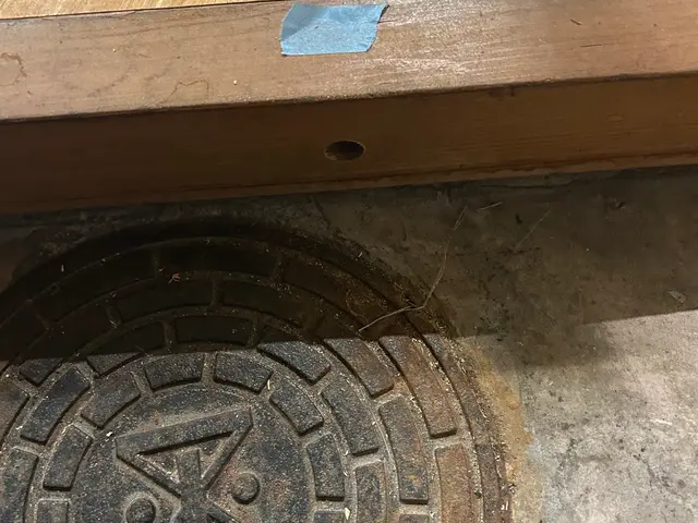 元大手経験者が駆け付ける！女性スタッフ同行対応の害虫解決サービスサービスの画像