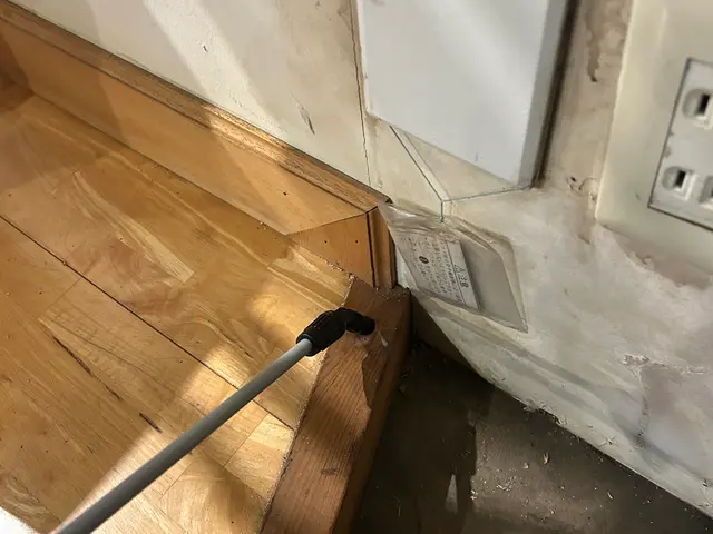 元大手経験者が駆け付ける！女性スタッフ同行対応の害虫解決サービスサービスの画像