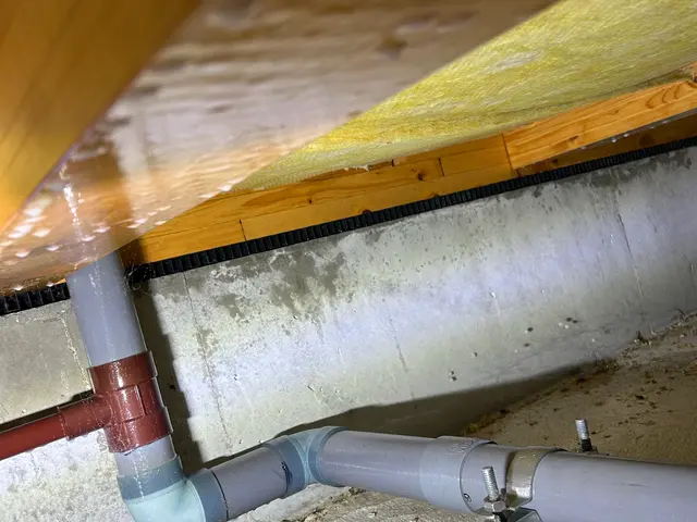 元大手経験者が駆け付ける！女性スタッフ同行対応の害虫解決サービスサービスの画像