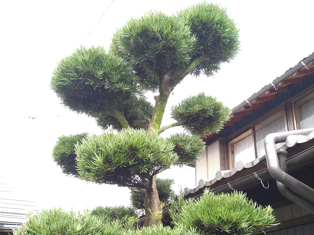 【時間外も相談可能◎】プロの技術で納得の仕上がりに！ご要望にお応えします。サービスの画像