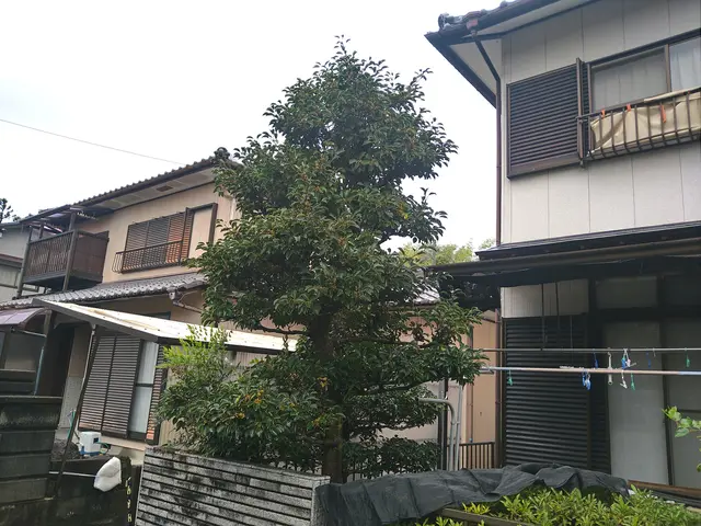 【時間外も相談可能◎】プロの技術で納得の仕上がりに！ご要望にお応えします。サービスの画像