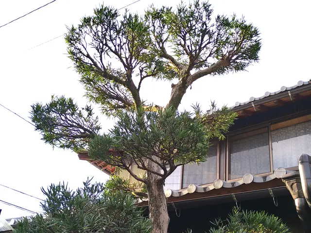 【時間外も相談可能◎】プロの技術で納得の仕上がりに！ご要望にお応えします。サービスの画像