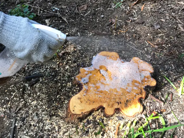 「庭園管理士」＆便利屋として幅広く対応　◎伐採した樹木は再生しないように処理!サービスの画像