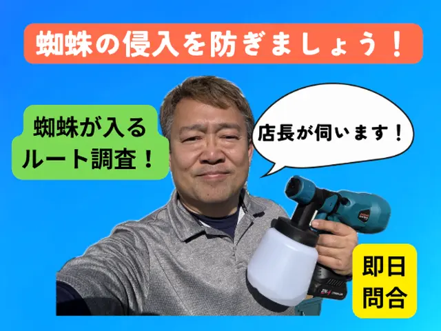 【金賞店】蜘蛛の侵入ルートをじっくり検証〜徹底排除！即日翌日はお問合せから！サービスの画像